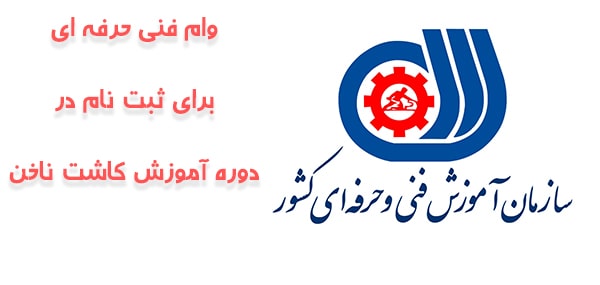 وام فنی حرفه ای دوره کاشت ناخن