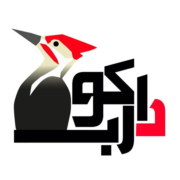آموزشگاه کامپیوتر دارکوب