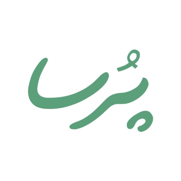 آموزشگاه کامپیوتر و حسابداری پرسا