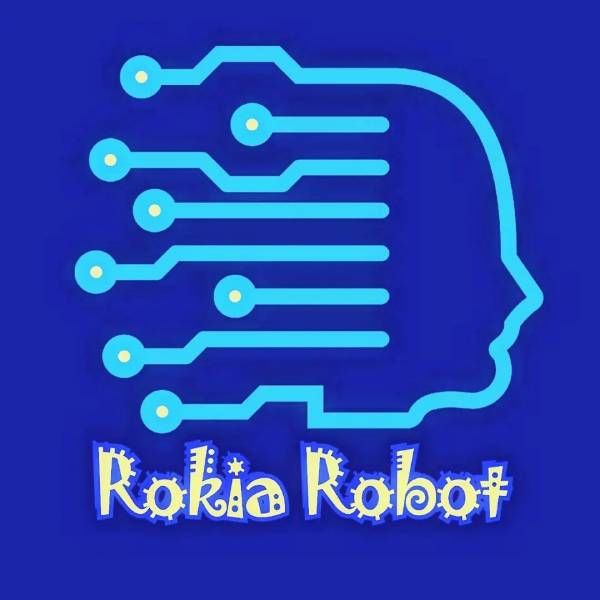 آموزشگاه رباتیک روکیا